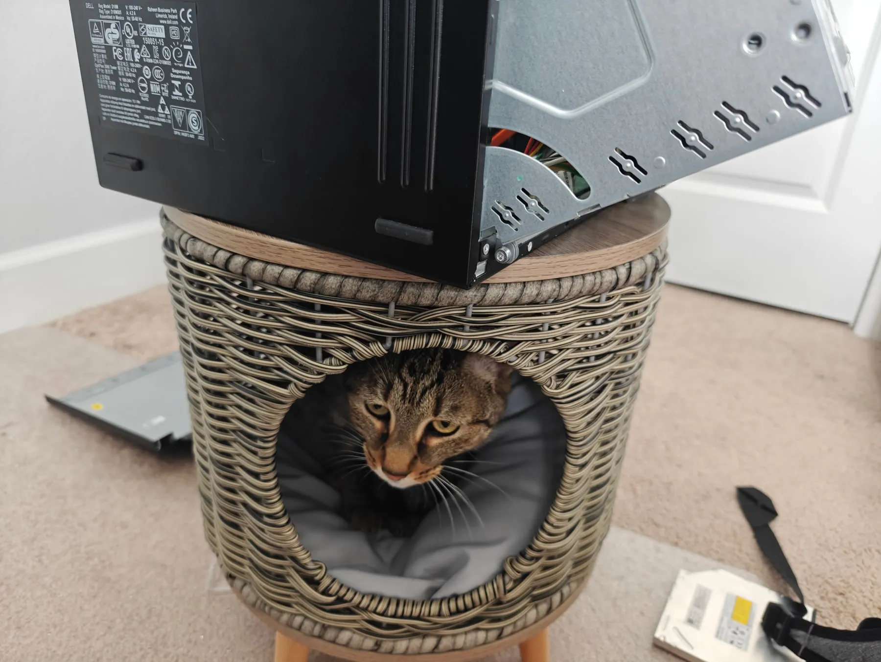 The cat looks up from a round wicker bed positioned directly beneath a desktop computer with its side panel removed, tools on the carpet nearby.