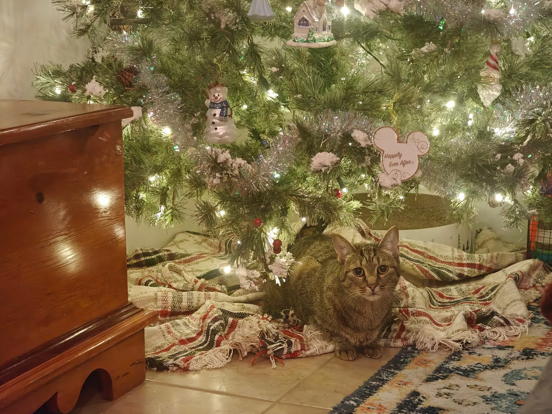 The cat crouches beneath a lit and decorated Christmas tree, looking toward the camera.