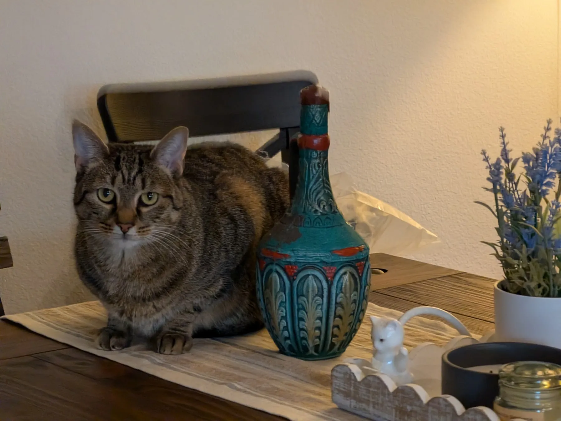 The cat sits upright on a table runner beside an ornate teal ceramic vase, a small white ceramic cat figurine, and a potted plant.